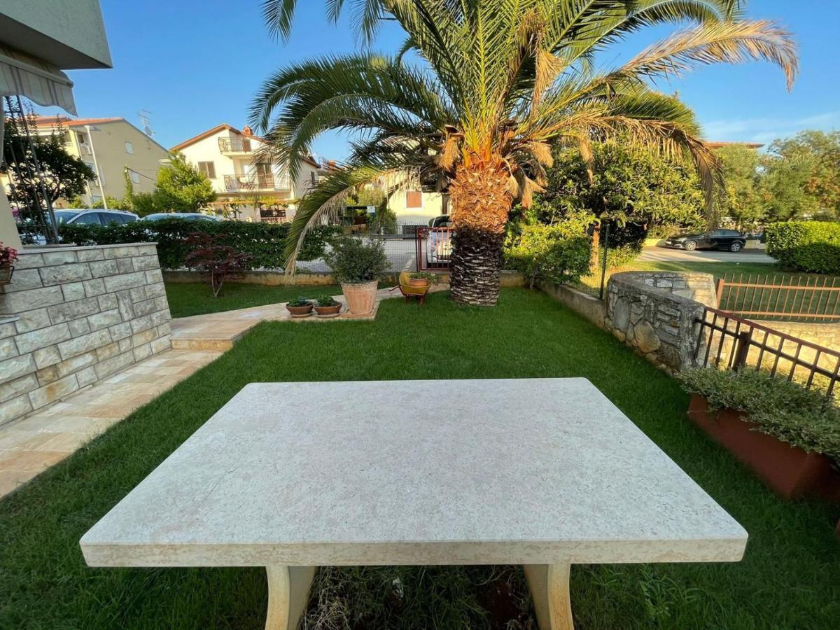 Apartman Hola Novigrad Istria Eksteriør billede