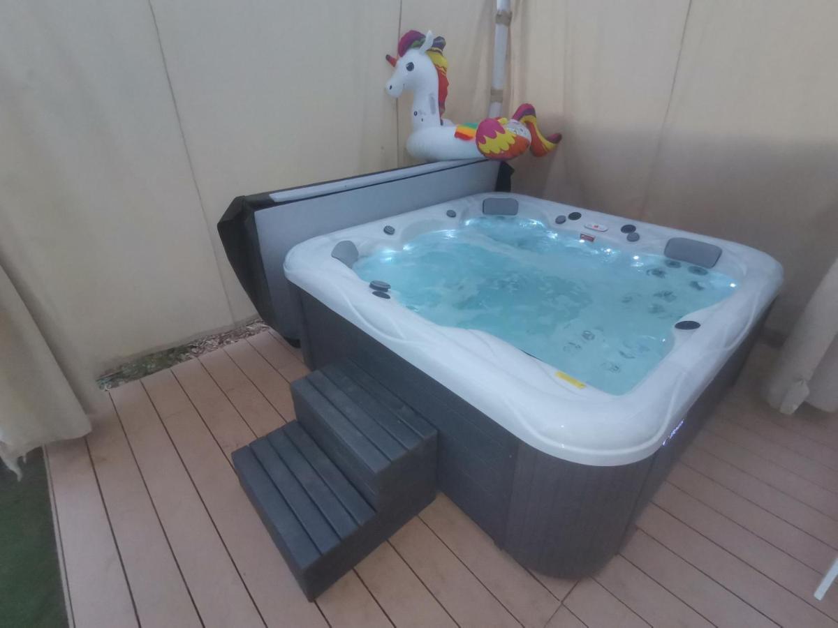 Apartman Hola Novigrad Istria Eksteriør billede