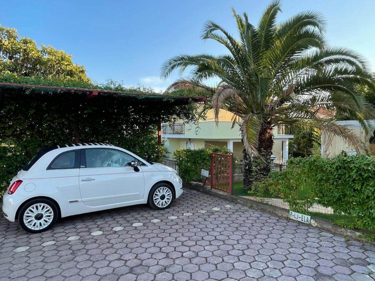 Apartman Hola Novigrad Istria Eksteriør billede